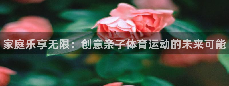 球客岛：家庭乐享无限：创意亲子体育运动的未来可能