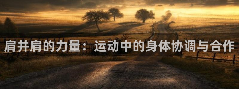 球客岛：肩并肩的力量：运动中的身体协调与合作