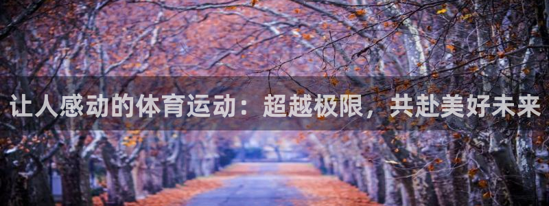 球客岛：让人感动的体育运动：超越极限，共赴美好未来