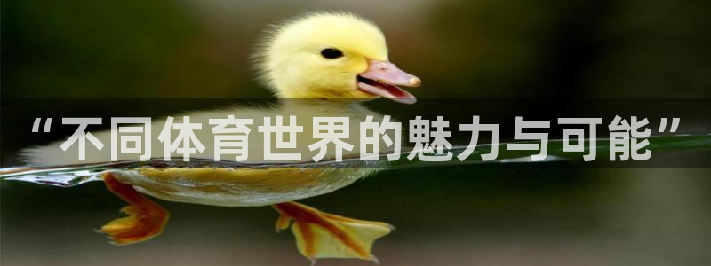 球客岛：“不同体育世界的魅力与可能”