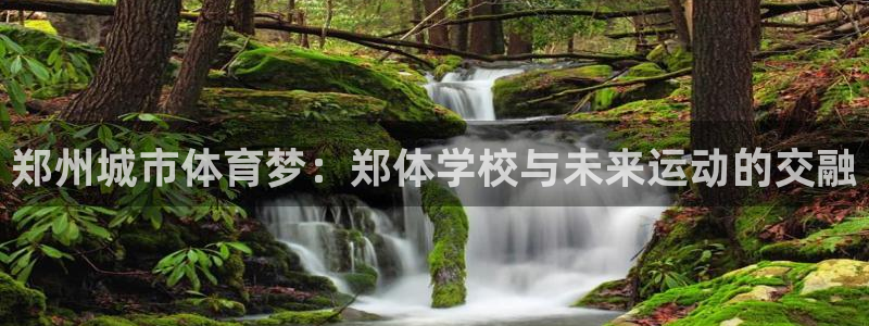 球客岛：郑州城市体育梦：郑体学校与未来运动的交融