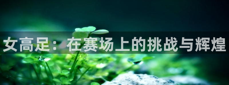 球客岛：女高足：在赛场上的挑战与辉煌