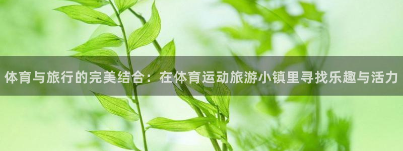 球客岛：体育与旅行的完美结合：在体育运动旅游小镇里寻找乐趣与活力