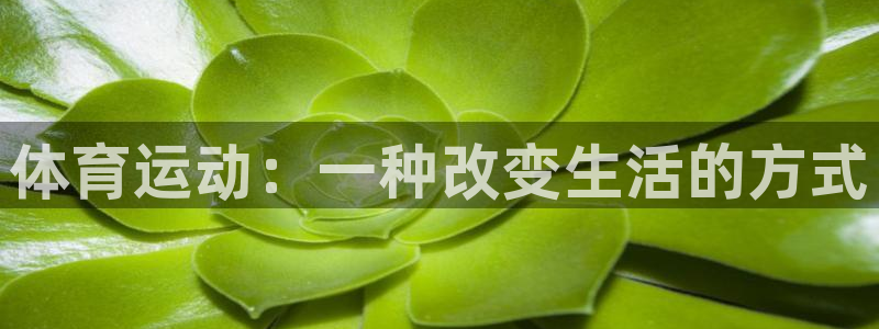 球客岛：体育运动：一种改变生活的方式
