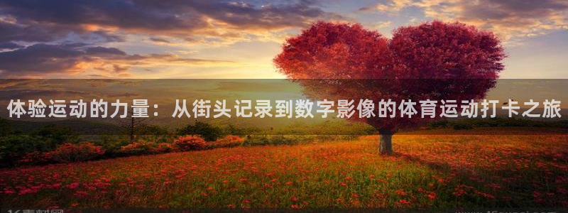球客岛：体验运动的力量：从街头记录到数字影像的体育运动打卡之旅