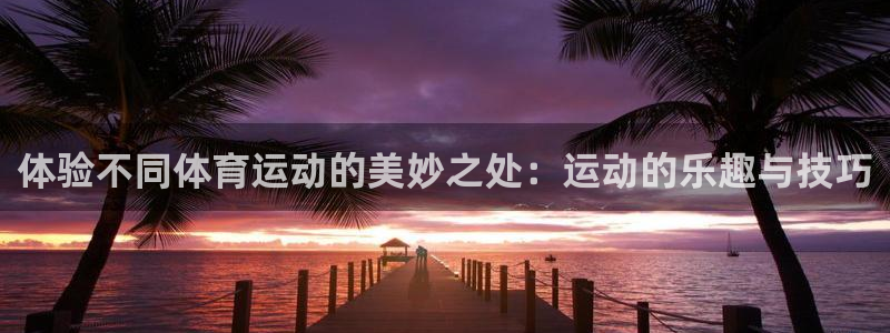 球客岛：体验不同体育运动的美妙之处：运动的乐趣与技巧