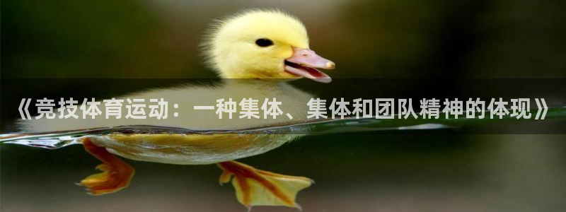 球客岛：《竞技体育运动：一种集体、集体和团队精神的体现》