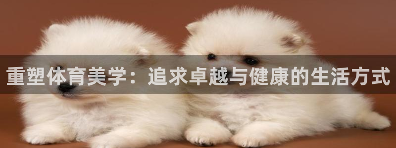 球客岛：重塑体育美学：追求卓越与健康的生活方式